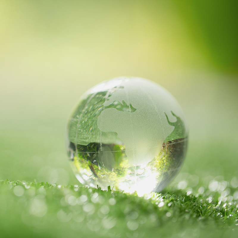 Close up of crystal globe resting on grass in a forest - environ